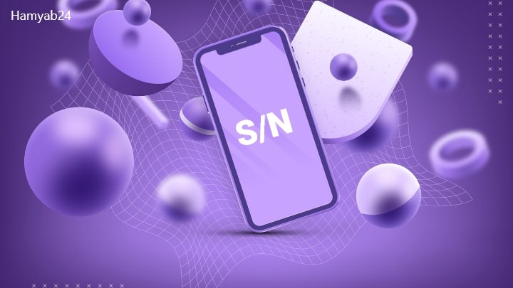 SN چیست؟